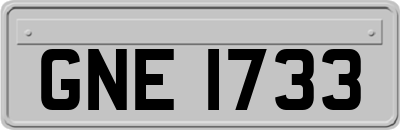 GNE1733