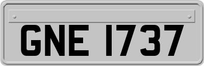 GNE1737