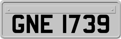 GNE1739