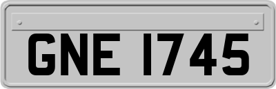 GNE1745