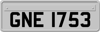 GNE1753