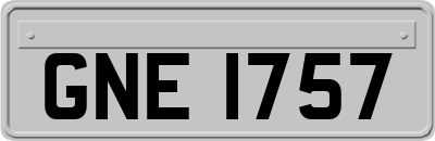 GNE1757