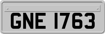 GNE1763