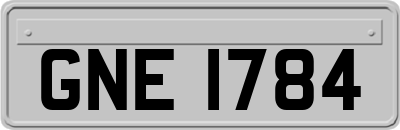 GNE1784
