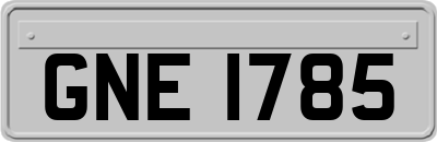 GNE1785