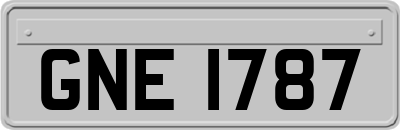 GNE1787