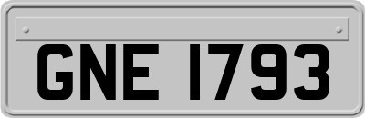 GNE1793