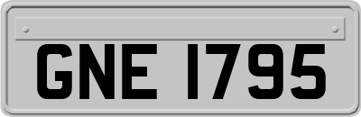 GNE1795