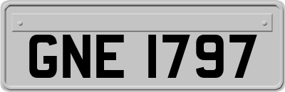 GNE1797