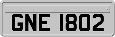 GNE1802