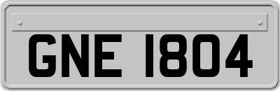GNE1804