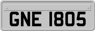 GNE1805