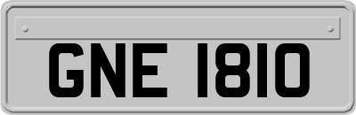 GNE1810