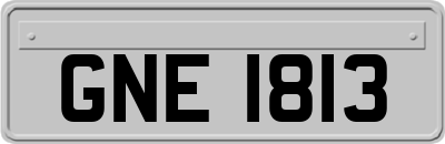 GNE1813