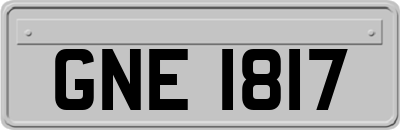 GNE1817
