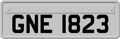 GNE1823