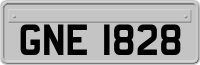 GNE1828