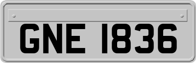 GNE1836