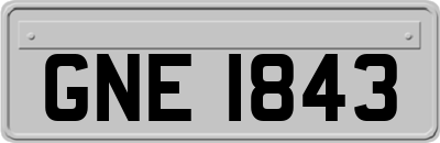 GNE1843