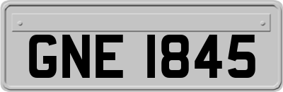 GNE1845