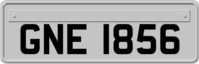 GNE1856