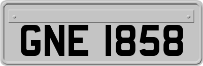 GNE1858