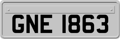 GNE1863