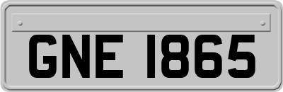 GNE1865