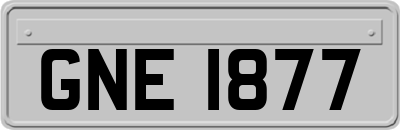 GNE1877