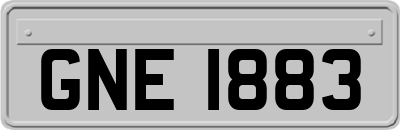 GNE1883