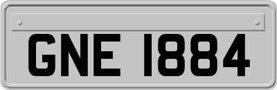 GNE1884