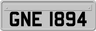 GNE1894