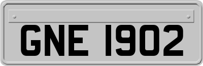 GNE1902