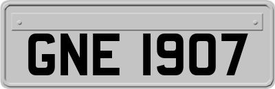GNE1907