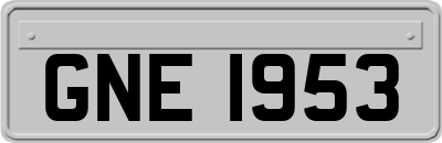 GNE1953