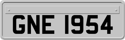 GNE1954