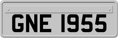 GNE1955