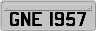 GNE1957