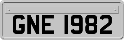 GNE1982
