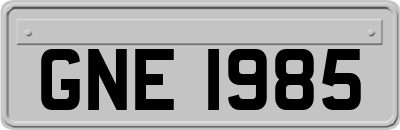 GNE1985