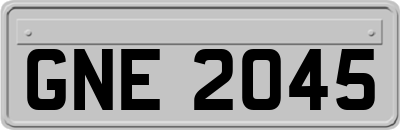 GNE2045