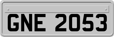 GNE2053