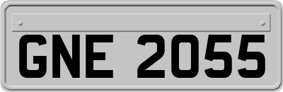 GNE2055