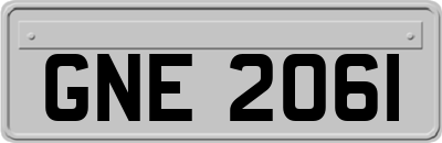 GNE2061