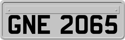 GNE2065