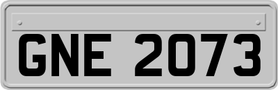 GNE2073
