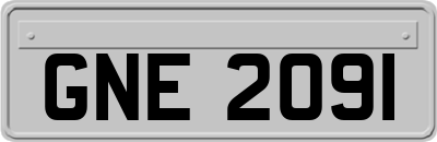 GNE2091