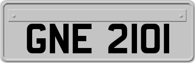 GNE2101