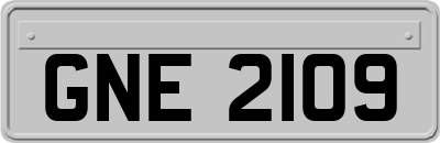 GNE2109