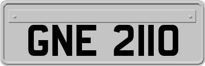 GNE2110